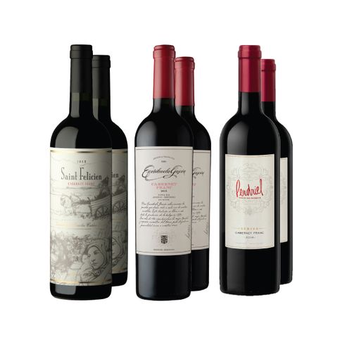 Combo Surtido Cabernet Franc X 6 Blackwine