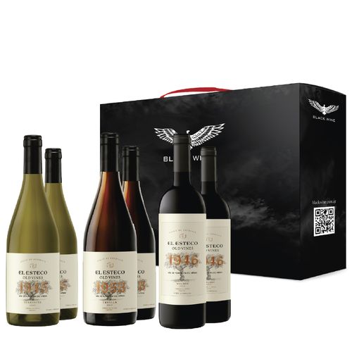 El Esteco Old Vines Series Selección x 6