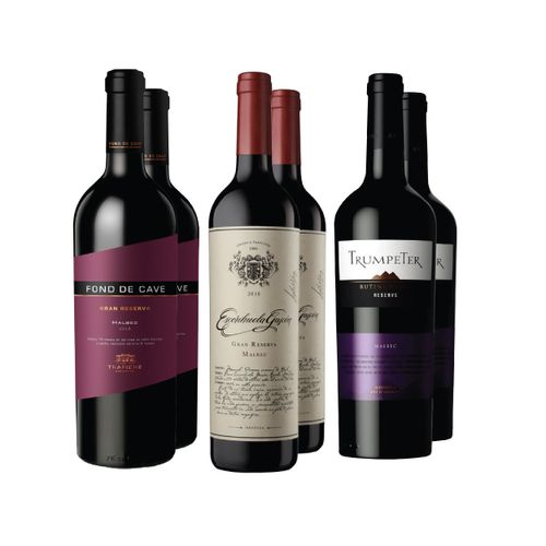 Combo Malbecs Clásicos X 6 Blackwine