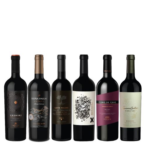 Valle de Uco Seleccion x 6 c Estuche