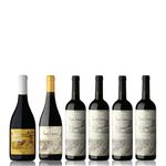 Saint-Felicien-combinado-cepas-tintas--6x750ml-