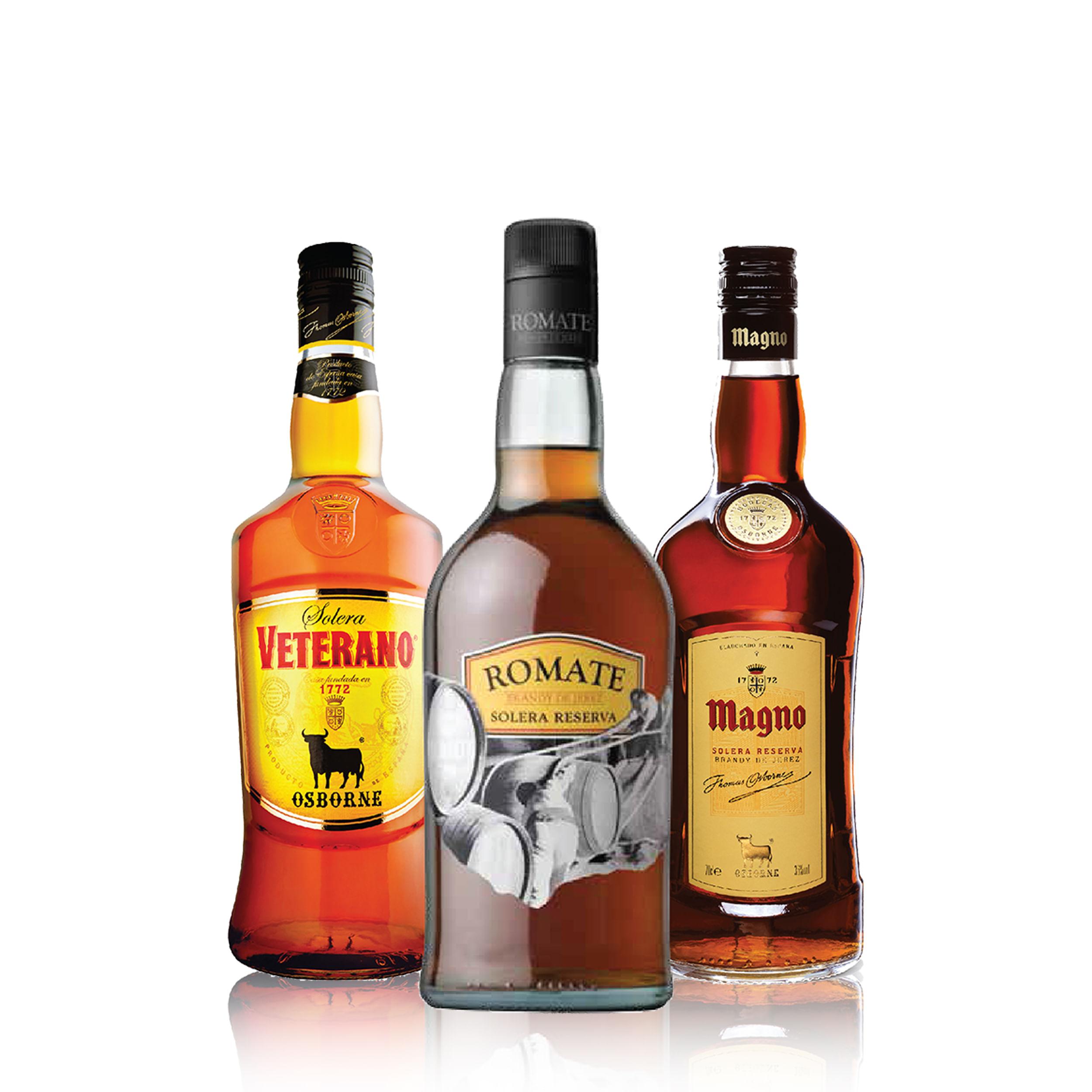 Set Surtido Brandys 3 unidades