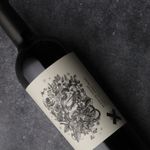 Sapo-de-otro-pozo-blend-artistico
