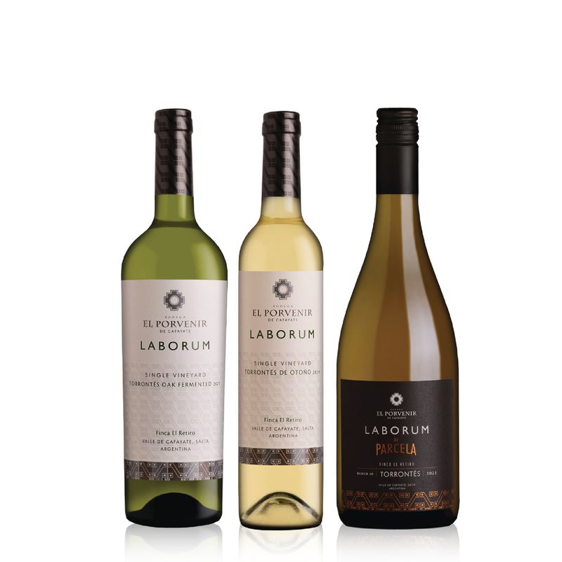 Set-Degustacion-de--Laborum-Torrontes-02