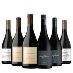 10001543-Pinot-noir-2