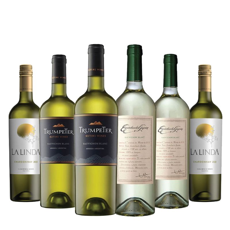 10001547-Vinos-blancos
