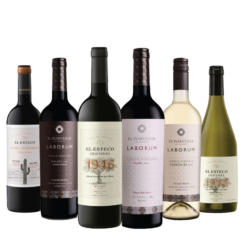 10001550-Vinos-Regiones-de-Salta