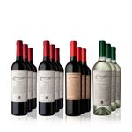 Escorihuela-Gascón---Surtido-x-12-Vinos