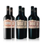 10000622-Set-Rutini-Coleccion-Surtido-6-Vinos---Estuche-Maletin