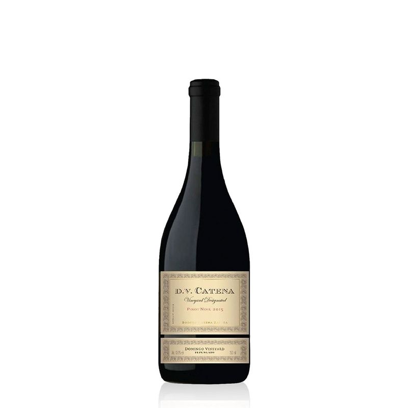 DV-Catena-Vineyard-Designated-Domingo-Tupungato-Pinot-Noir-750-ml--VTEX-01