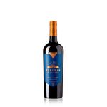 Flechas-De-Los-Andes-Gran-Malbec-750-ml