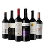Combo-variedad-malbec-x6