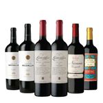 10000880-Vinos-malbec-y-blend-variedad-x6