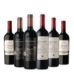 10000882-Vinos-red-blend-variedad-x6