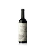 Saint-Felicien-Cabernet-Sauvignon-750-ml--VTEX-01