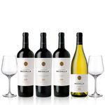 Set-Trapiche-Medalla-Seleccion-4-Vinos---2-Copas---Estuche-Maletin