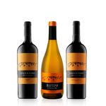 Set-Rutini-Encuentro-Seleccion-3-Vinos