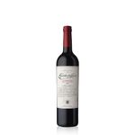 Escorihuela-Gascon-Cabernet-Sauvignon-750-ml--VTEX-01