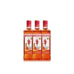 Gin-Beefeater-Blood-Orange-Pack-x-3