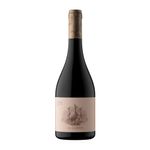 VT.PN-01P00A-027-Vino-Tinto-Las-Perdices-Reserva-Pinot-Noir-750-ml