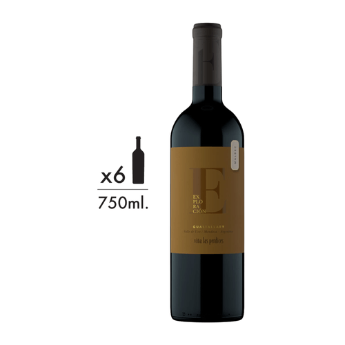 Vino Tinto Las Perdices Exploración Malbec Gualtallary 750 ml Pack x 6