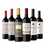 Set-Vinos-Tintos-Combinados-Malbec---Blend-Seleccion-x-6-con-Estuche---VT.CO-06P00A-085.jpg