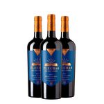 Flechas de los Andes Gran Malbec 750 ml Caja x 3.jpg