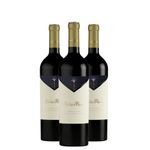 Petite Fleur Cabernet Franc 750 ml Caja x 3.jpg