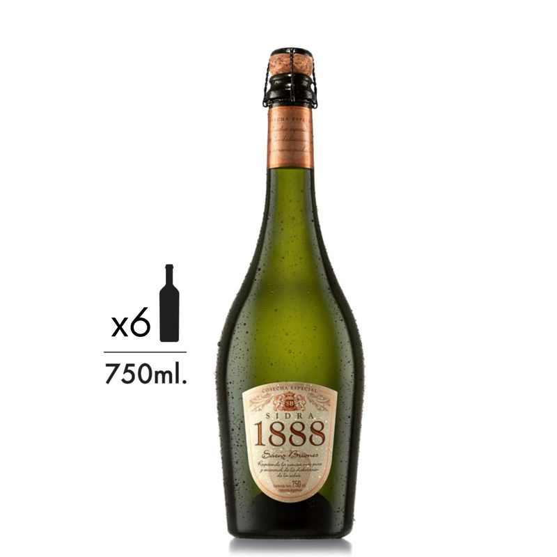 Sidras-Sidra-1888-Pack-x-6.jpg