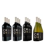 Crux Xtra Caja x 12 VI.CO-12P00A-026