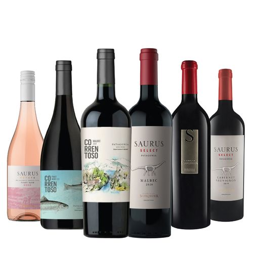 Vinos Region Patagonia Seleccion x 6 con Estuche