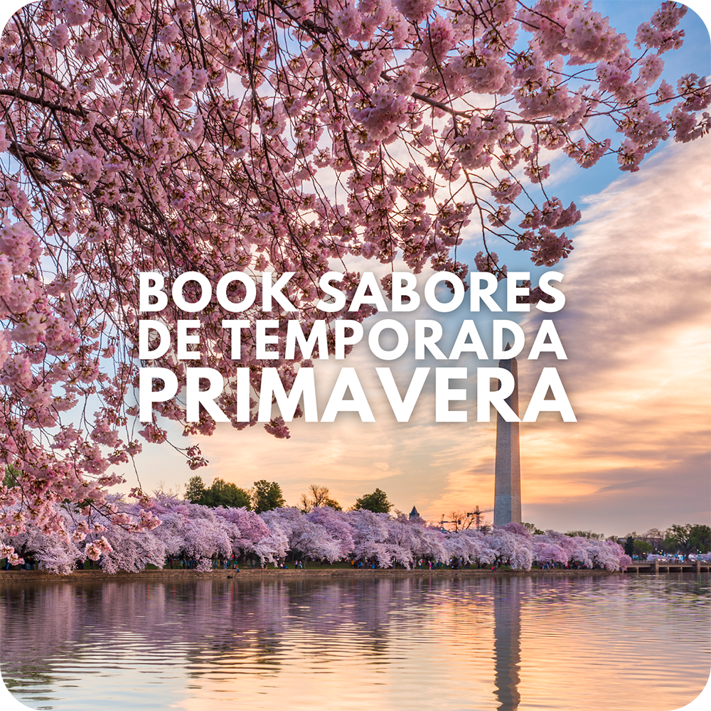 BOOK DE TEMPORADA